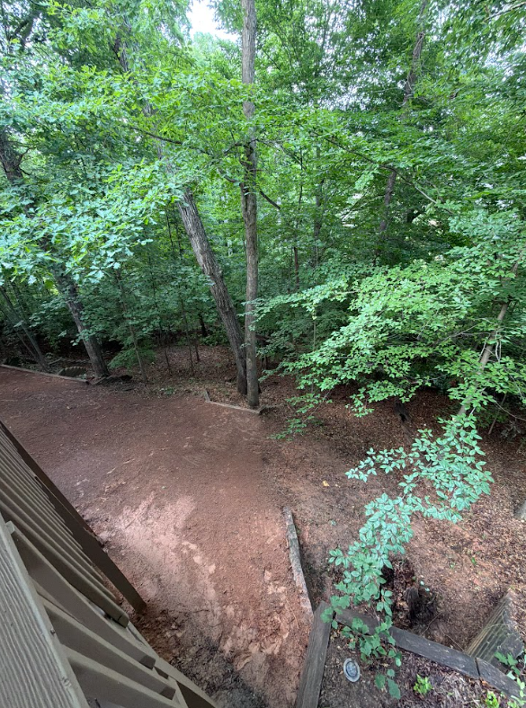Wooded slope with underbrush cut back and cleared ground opened up behind a house