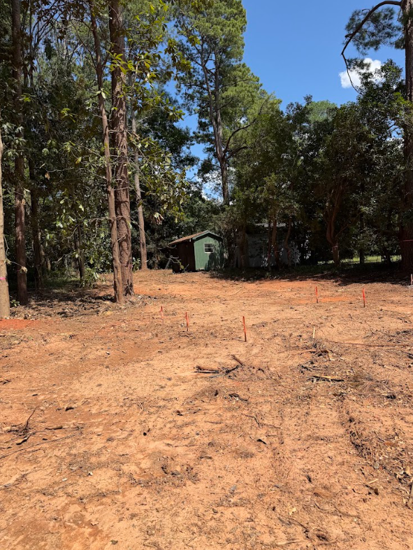 Mulched and cleared wooded area with survey stakes marking the work area behind a storage shed