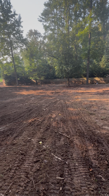 Leveled wooded backyard graded evenly up to the tree line and fence
