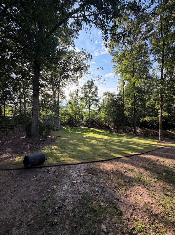 Newly sodded backyard viewed from the patio area with trees and a wooden fence in the background